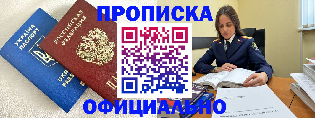прописка поиск в Курской области